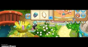 Animal Jam- Porch Swing Trade Attempts+Nice Jamagrams :3